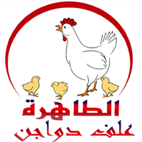 الشركة المصرية الفرنسية